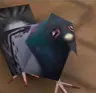 553164's Avatar